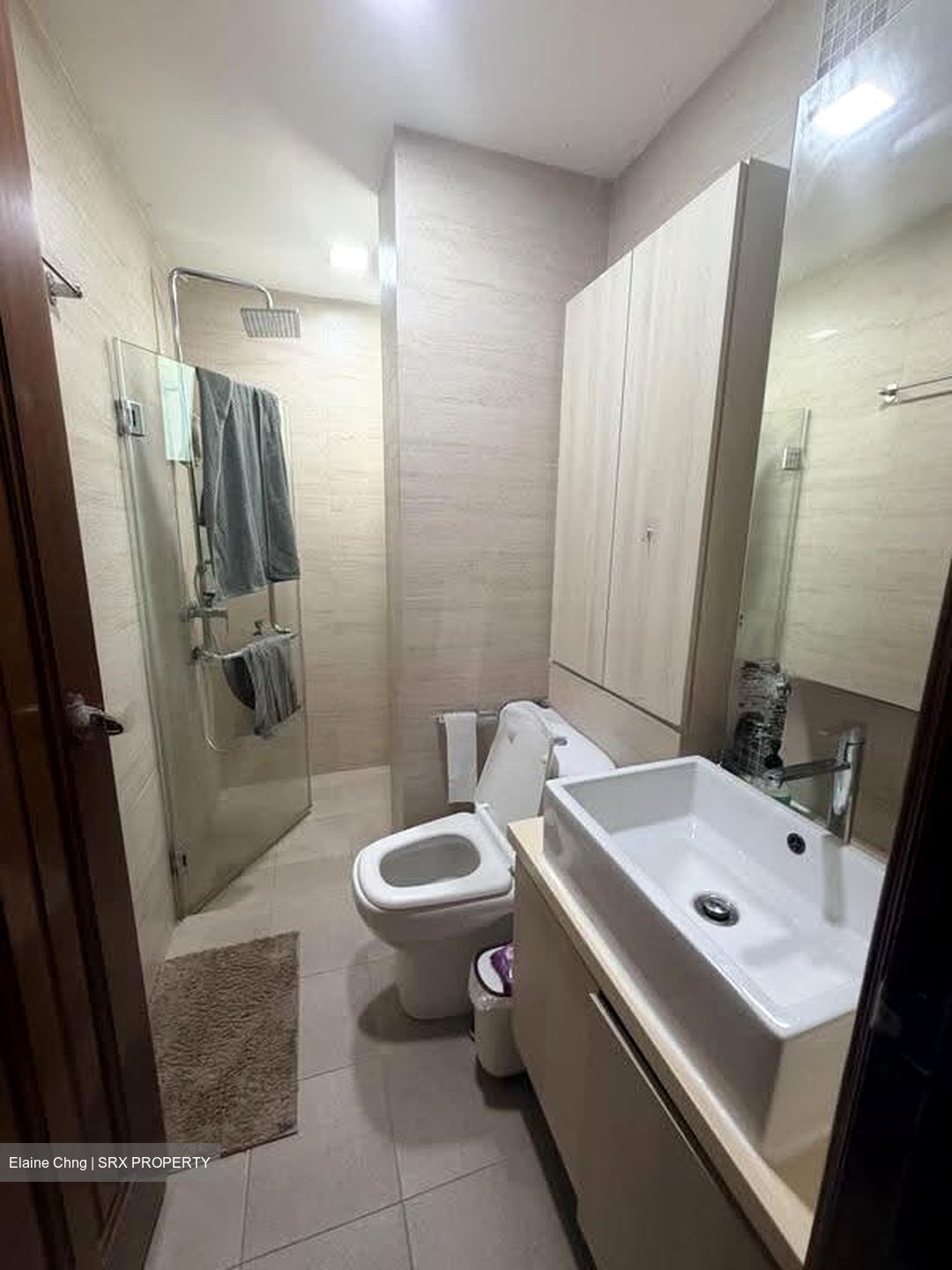 Spring Grove (D10), Condominium #622158021